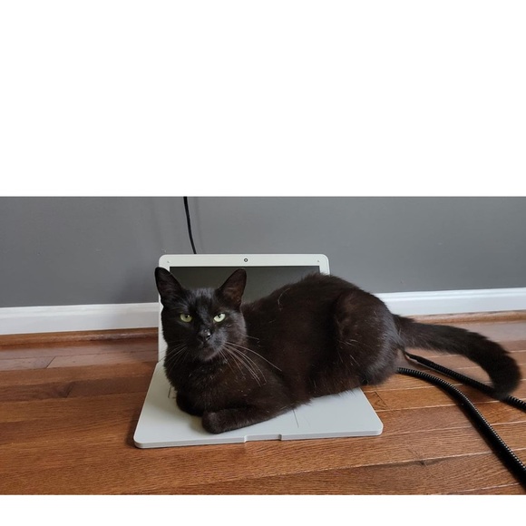 Cat accessories - Picture 6 of 8